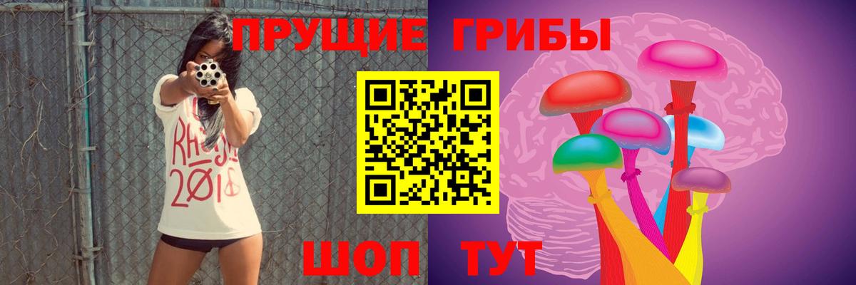 Галлюциногенные грибы Cubensis Кириши